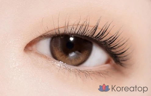 Палетка теней ABOUT TONE Return to Basic, 9 г, 01 Classic, 1 шт., фото 4