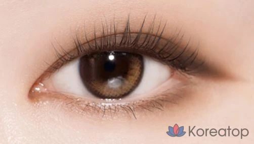 Палетка теней ABOUT TONE Return to Basic, 9 г, 01 Classic, 1 шт., фото 6