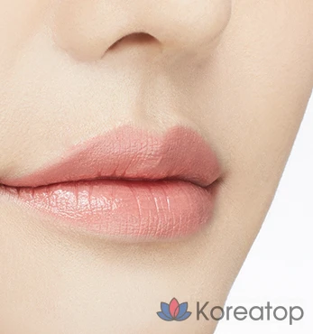 Off-Pro Vivitalk Rouge, Rosy Coral, 1 шт., 3,6 г