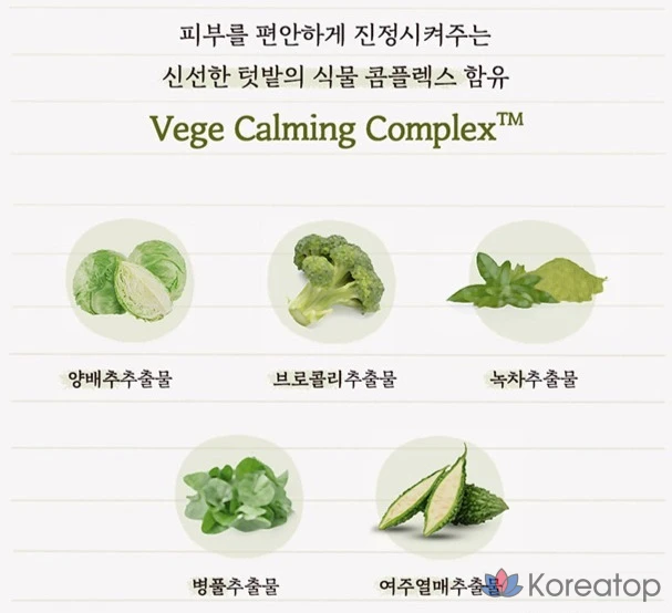 Очищающая пенка для лица Skinfood Veggie Garden с экстрактом полыни, 1 шт., 150 мл