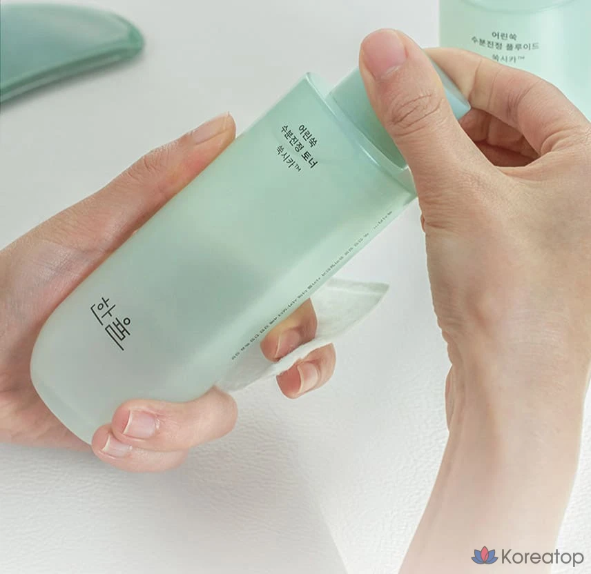 Набор HANYUL Young Artemisia Moisture Soothing из 2 предметов, 1 комплект