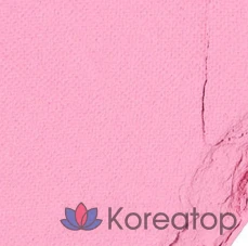 Румяна Etude House Heart Pop Duo Blusher 7.5g, оттенок Envy Pale Paleish Koi, 1 шт.