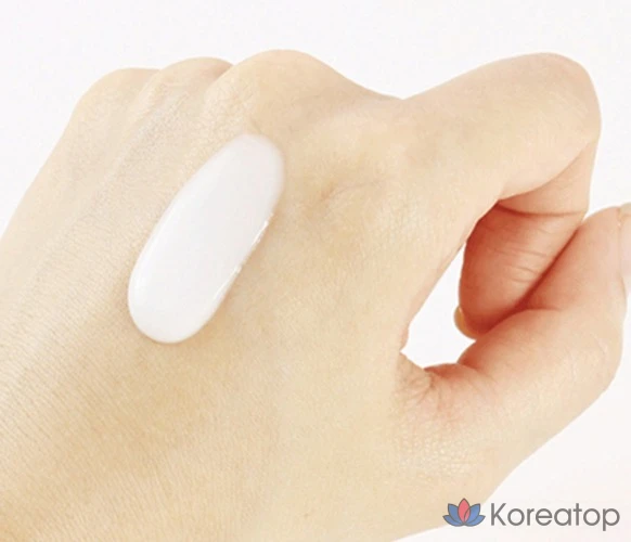 Дорожный набор Round Lab 1025 Dokdo: тоник + лосьон + солнцезащитный крем + очищающее средство + косметичка, 1 комплект.