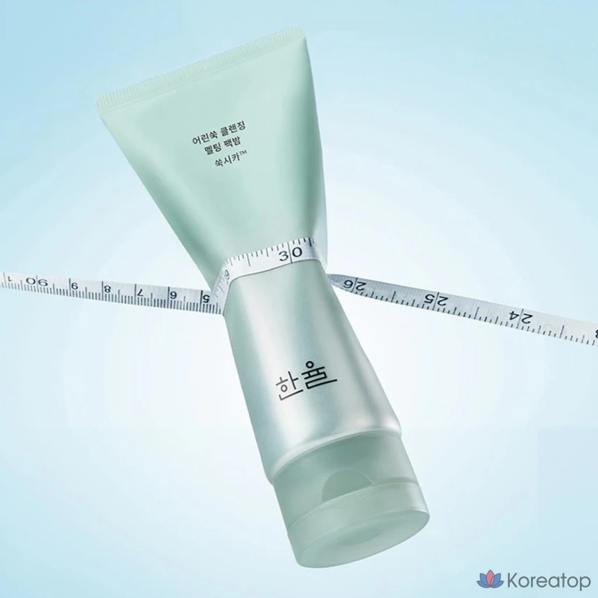 Очищающий бальзам-маска HANYUL Young Artemisia, 100 г, 1 упаковка