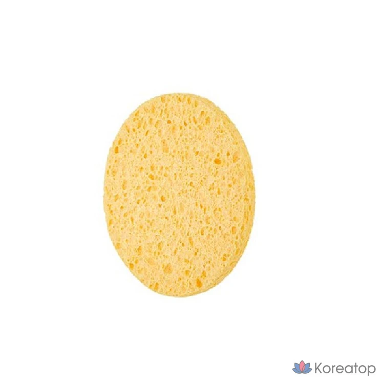 Очищающая губка из целлюлозы The Face Shop fmgt Daily Beauty Tools, 1 шт.