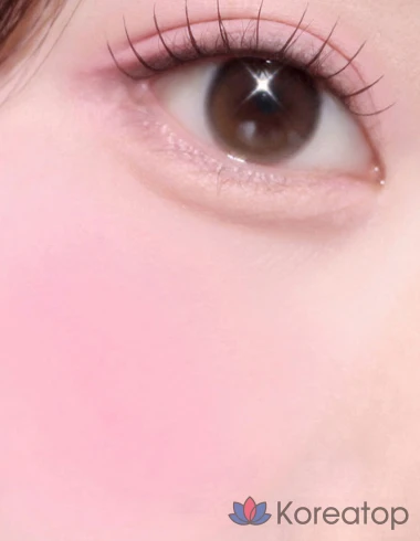 Румяна Etude House Heart Pop Duo Blusher 7.5g, оттенок Envy Pale Paleish Koi, 1 шт.