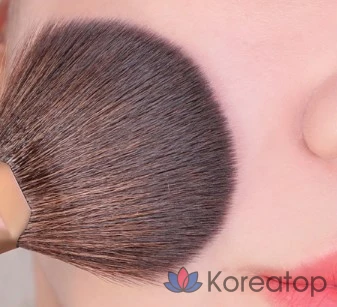 Кисть-веер для пудры Too Cool For School Artist Vegan Powder Fan Brush, разные цвета, 1 шт.