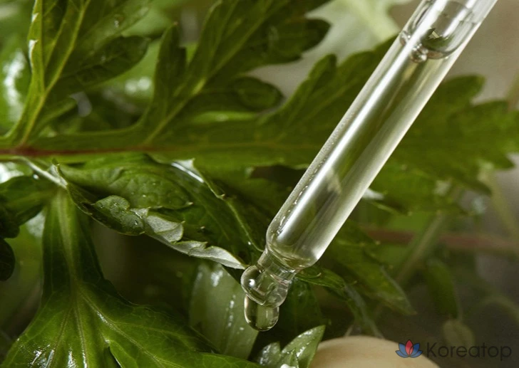 Сыворотка «I'm From Mugwort», 30 мл, 1 шт.