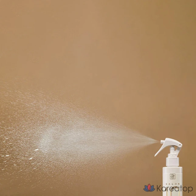 Mise en Scene Salon 10 — Средство для ухода за сильно поврежденными волосами без мытья, 200 мл, 1 шт.