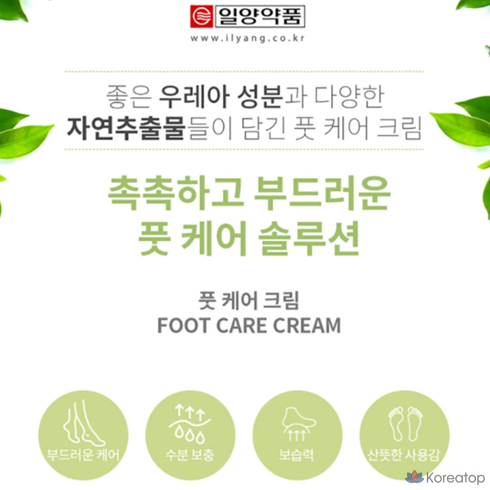 Крем для ухода за ногами Il-Yang Pharmaceutical с алоэ вера и экстрактом корня солодки для смягчения сухих стоп, 1 шт., 1 упаковка