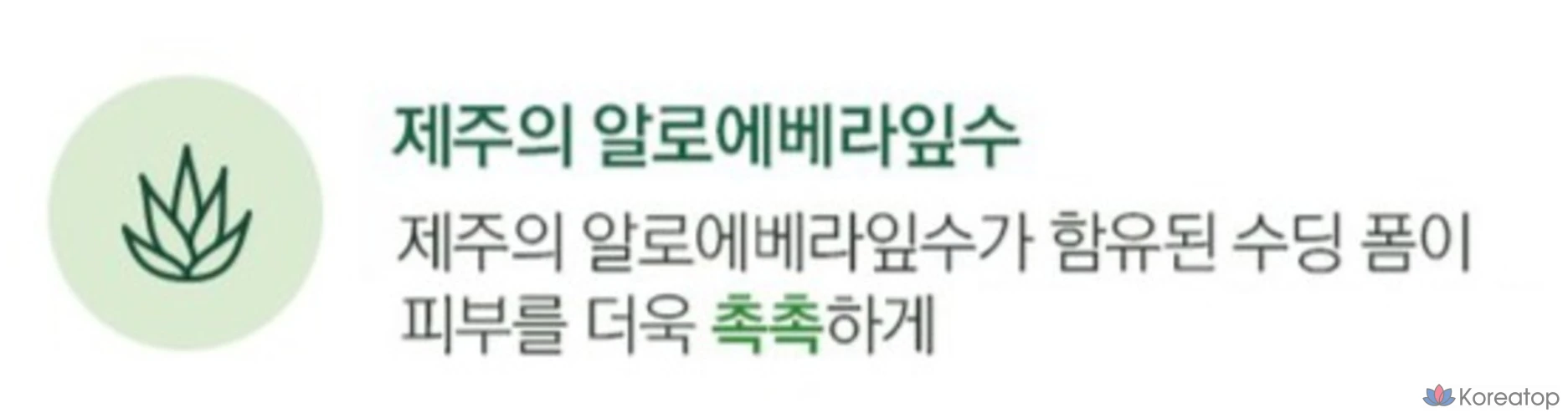 Очищающая пенка для лица The Face Shop Fresh Jeju Aloe Soothing Cleansing Foam, 150 мл, 1 шт.