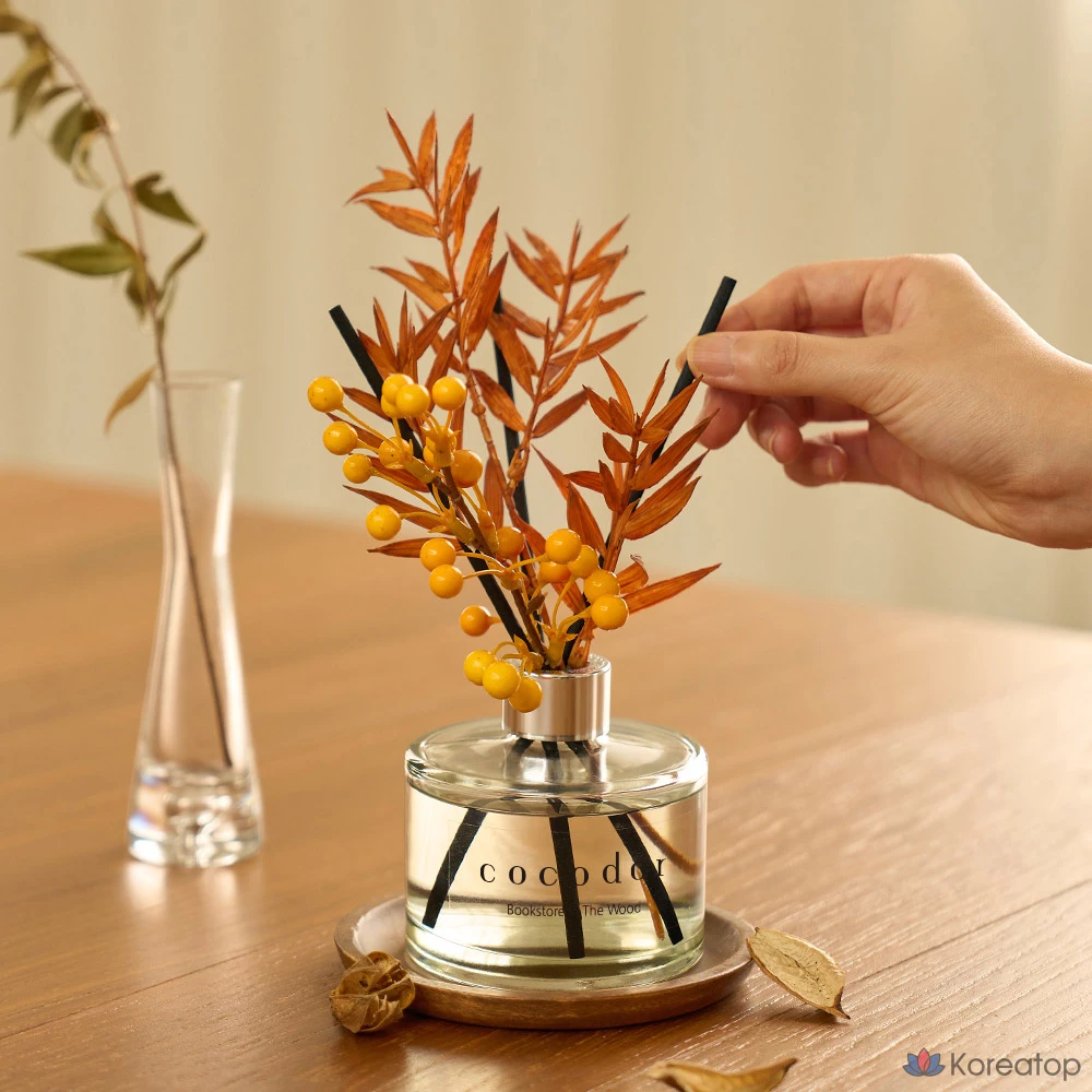Диффузор для дома Cocodor Autumn Diffuser, Books in the Wood, 200 мл, 2 шт., фото 3