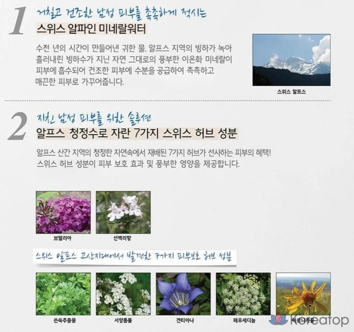 Beyond Homme Balance Basic, набор из 2 предметов, 2 комплекта, фото 5