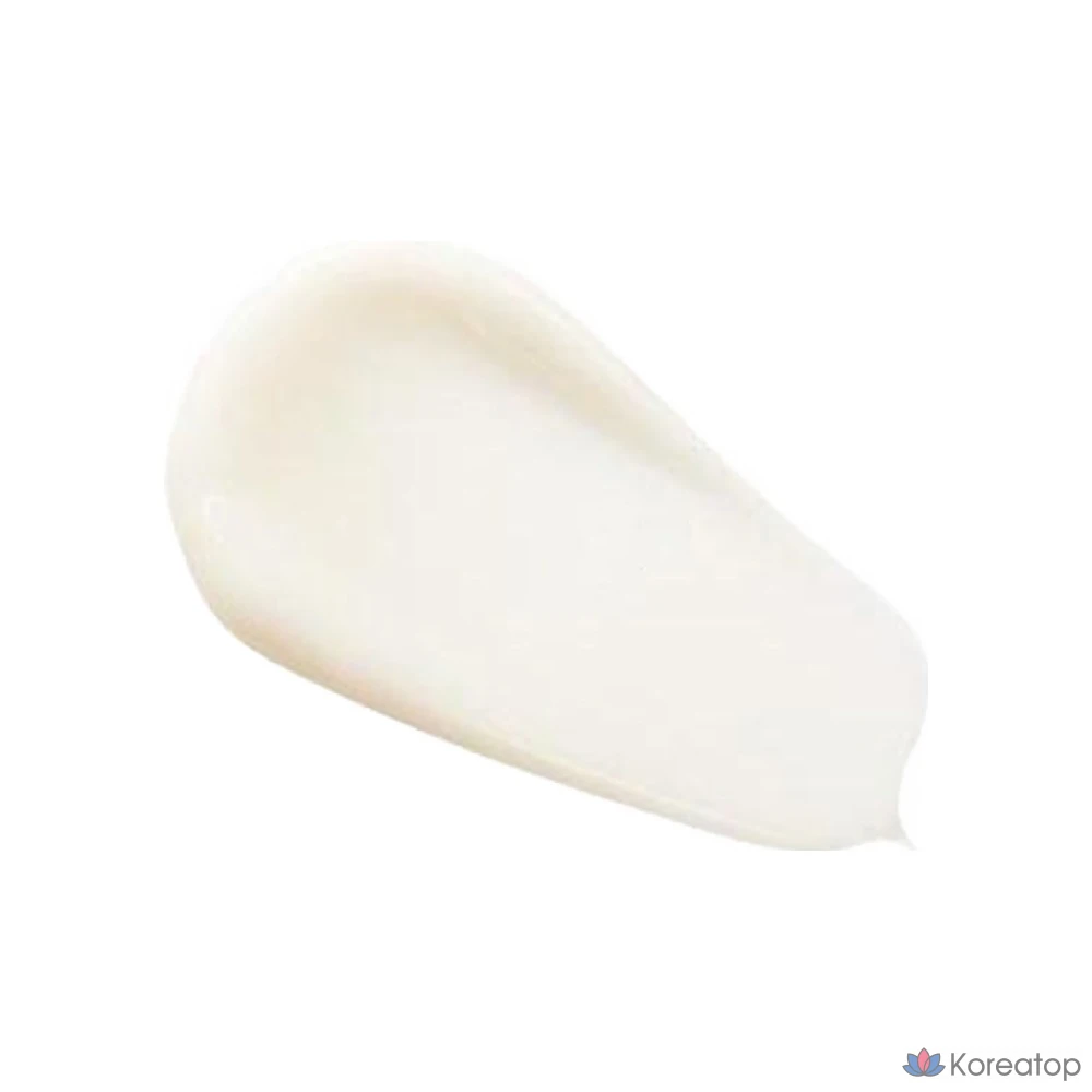 Набор средств по уходу за кожей The Saem Snail Essential EX Wrinkle Solution, 2 предмета, 1 комплект.