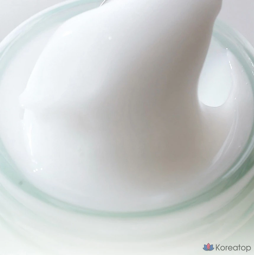 Увлажняющий успокаивающий крем HANYUL Young Artemisia, 55 мл, 1 шт.