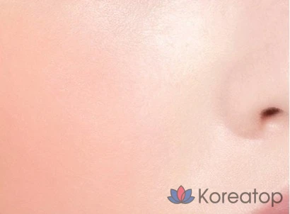 Румяна-кушон The Face Shop Pastel Cushion Blusher, 5 г, 03 Fullside Orange, 1 шт., фото 2