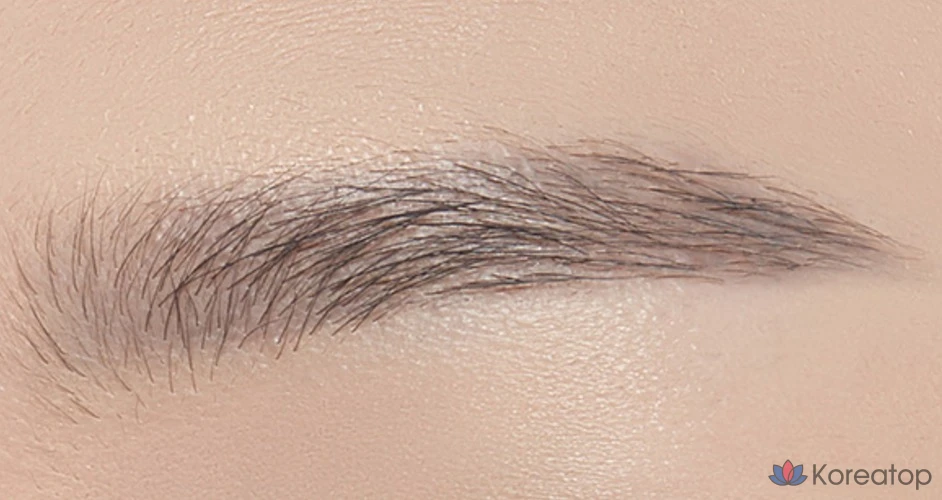 Etude House Drawing Eyebrow Pro 0.25g, 05 Gray, 1 шт., фото 2