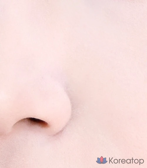 Luna Pro Photo Finisher Pact Powder 8g, 03 Pale Powder, 1 шт., фото 5