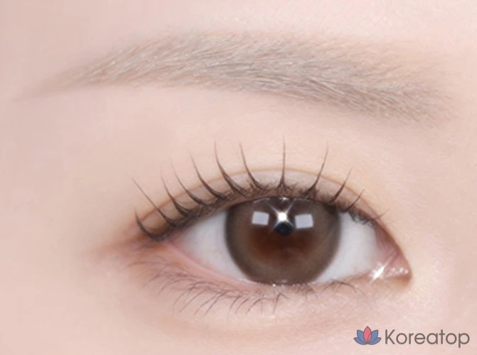 Консилер для бровей The Saem Cover Perfection, 4 г, прозрачно-бежевый, 1 шт., фото 6