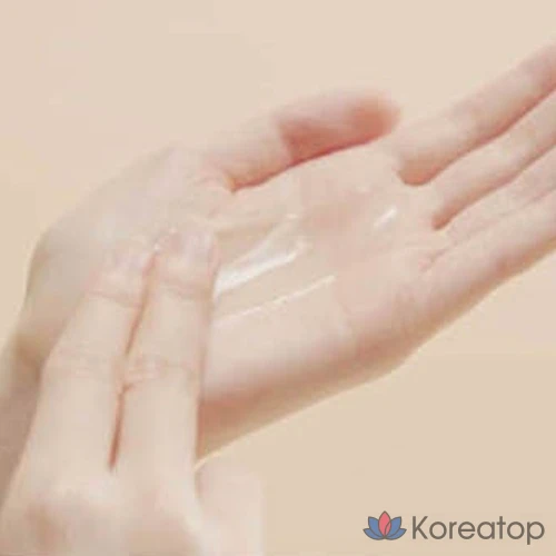 Шампунь Ryo Rootzen для мужчин от выпадения волос, аромат чайного дерева и эвкалипта, 515 мл, 1 шт.