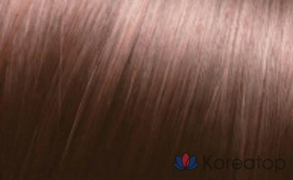 Краска для волос JennyHouse Cosmetics, розово-коричневый 11PB, 1 шт.