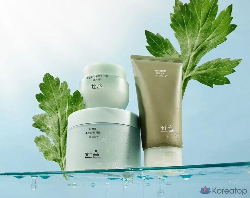 Увлажняющий успокаивающий крем HANYUL Young Artemisia, 55 мл, 1 шт.