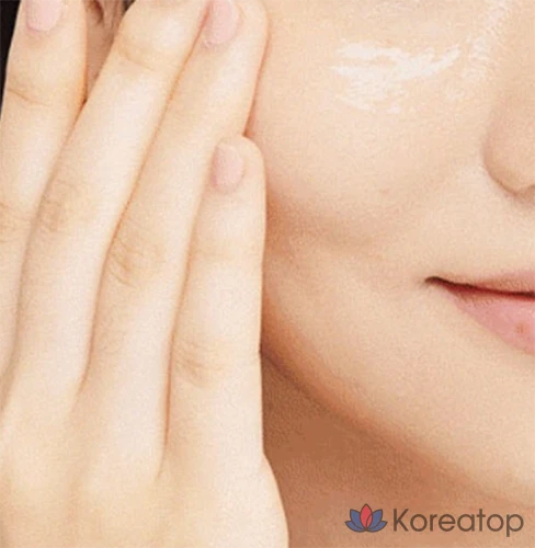 Сменный блок сыворотки Innisfree с гиалуроновой кислотой и экстрактом зеленого чая, 80 мл, 1 шт.