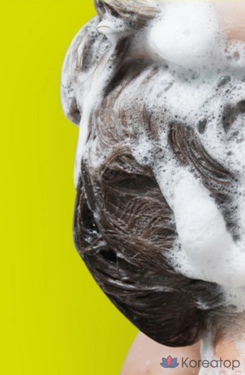 Шампунь Kundal All Day Smell Cover Youth с ароматом лайма, базилика и мандарина, 400 мл, 1 шт.