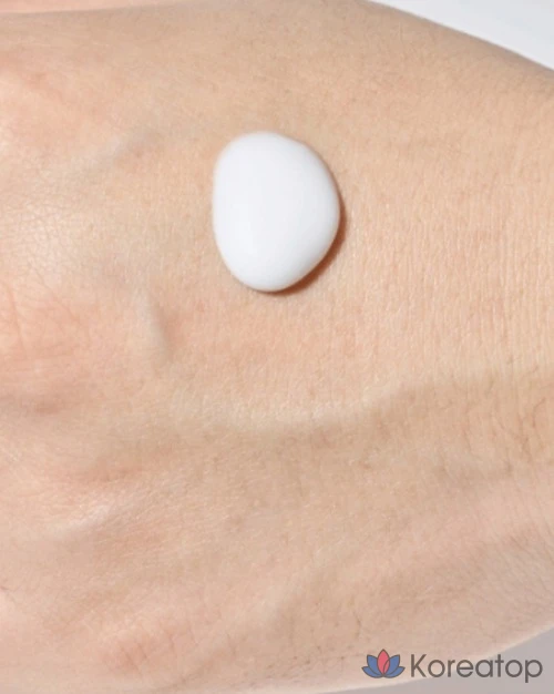 Набор Innisfree Men's Forest Premium Skincare из 2 предметов, 1 комплект