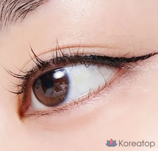 Подводка для глаз Etude House Line Fix Brush Liner, 0,5 г, коричневый, 1 шт., фото 9