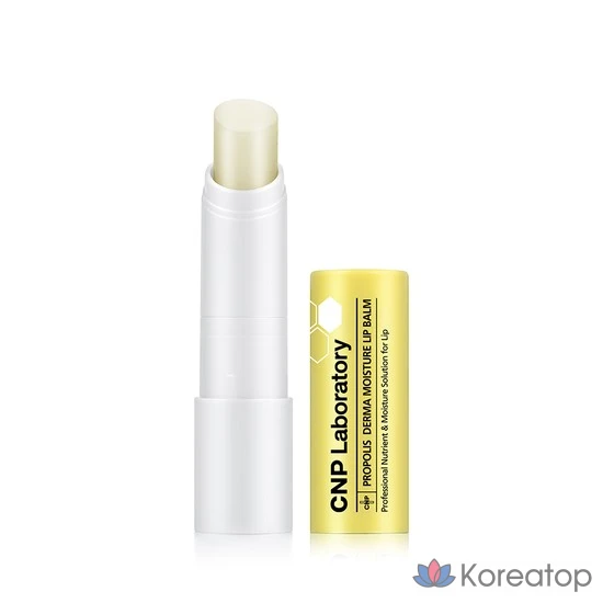 Увлажняющий бальзам для губ CNP Propolis Derma Moisture, 4 г, 1 шт.