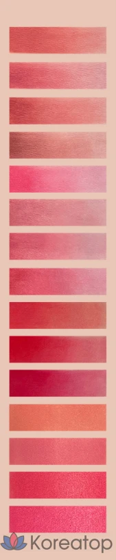 rom&nd Blur Fudge Tint, Warming Up, 5g, 1ea