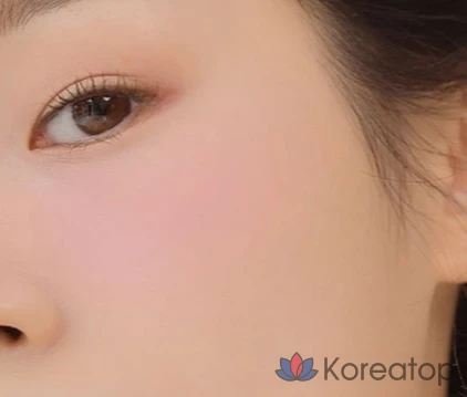 Dinto All That Moments Blusher, 1ea, 507 Dear Salome, фото 4