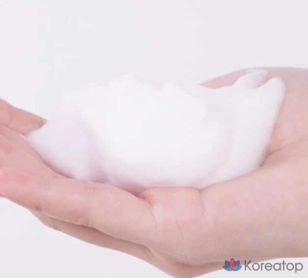 Очищающая пенка для лица BRTC Cica Biome от черных точек, 150 мл, 1 шт.