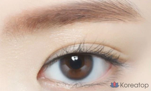 Накладные брови Etude Pure False Eyebrow Cara, 4,5 г, № 3, красно-коричневый, 1 шт., фото 3