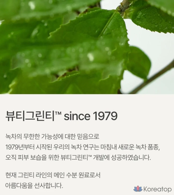 Сменный блок сыворотки Innisfree с гиалуроновой кислотой и экстрактом зеленого чая, 80 мл, 1 шт.