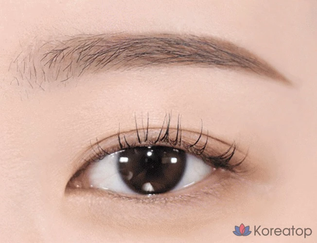 Корректор для бровей The Face Shop Eye Rise Slim Brow, 0,06 г, коричневый, 1 шт., фото 2