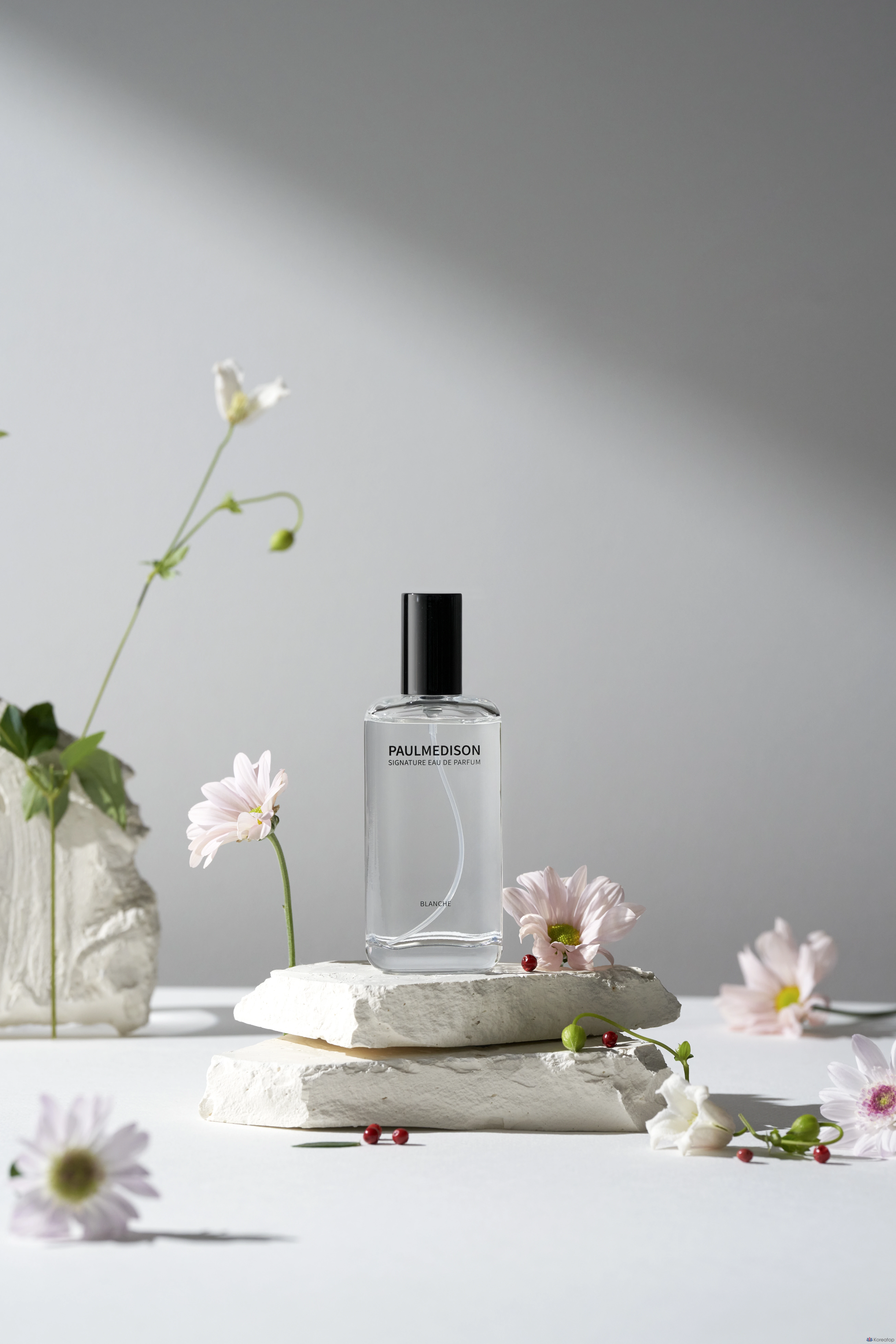 Polmedison Signature Blanche Eau de Parfum, 50 мл, 1 флакон