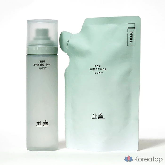 Успокаивающий спрей для лица HANYUL Young Artemisia Trouble Soothing Mist Planning, 120 мл + сменный блок 120 мл, 1 шт.