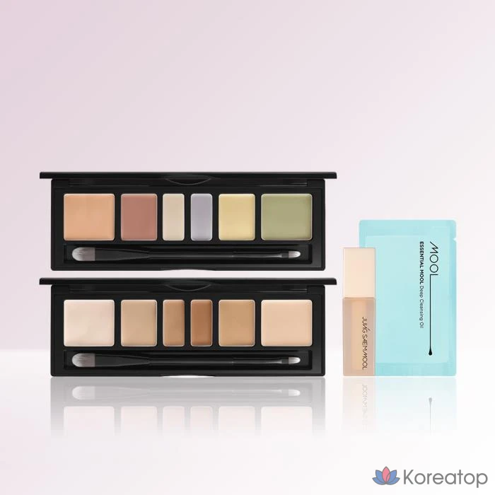 Консилер-палетка Jungsaemmool Artist Concealer Palette, оттенок Blend GIFT, 1 шт.