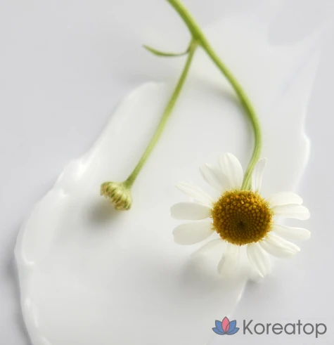 Крем EssenHerb Anytime Quick Multi Cream, 1 шт., 100 мл