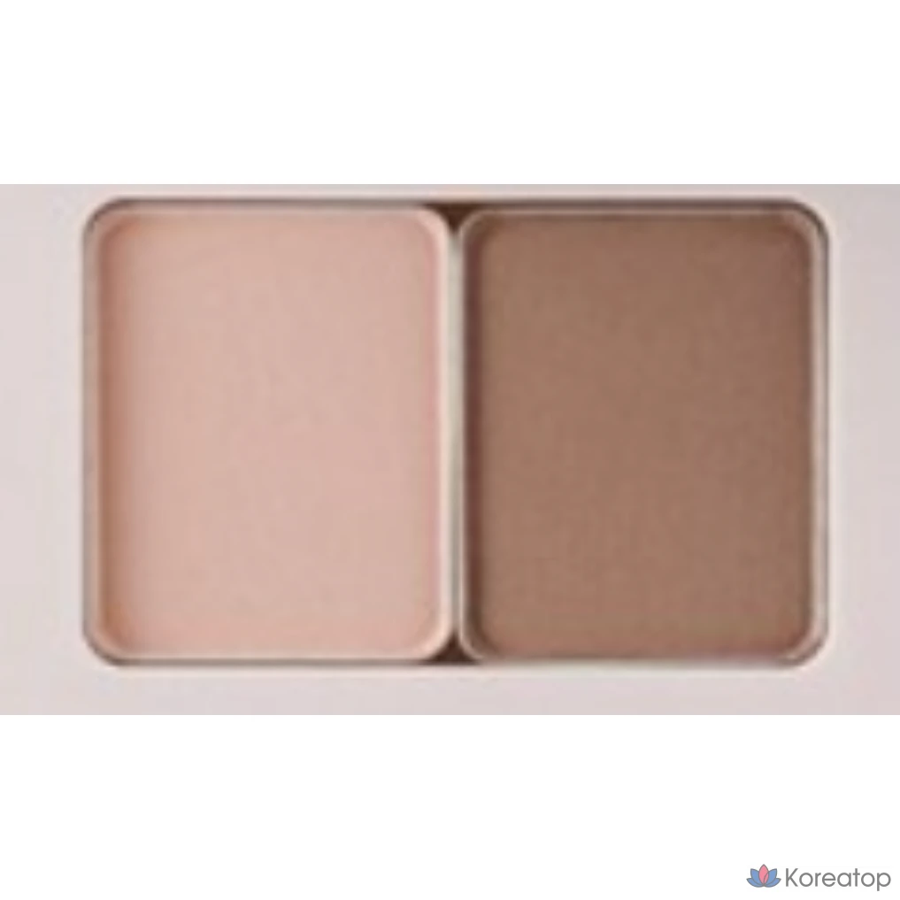 Тени для век VDL Ice Stain Essential Shadow Duo, оттенок Basic Brown, 2 г, 1 шт.