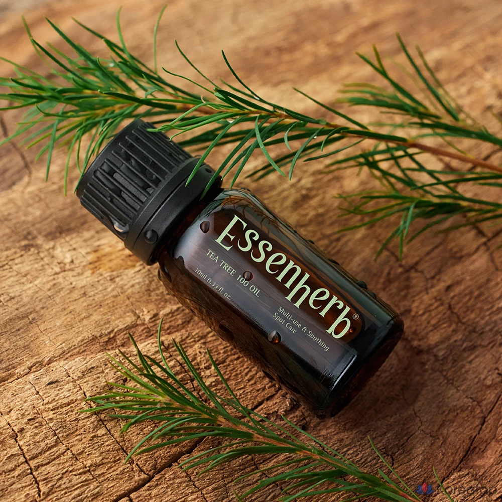 Масло чайного дерева EssenHerb 100%, 10 мл, 1 шт., фото 2