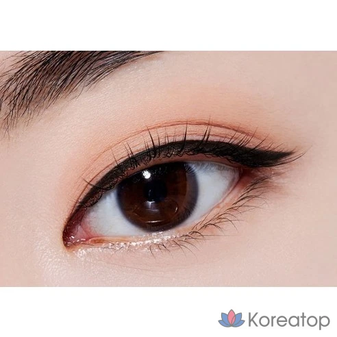 Кисть-лайнер для глаз Etude Line Fix Brush Liner 0,5 г, 01 Black