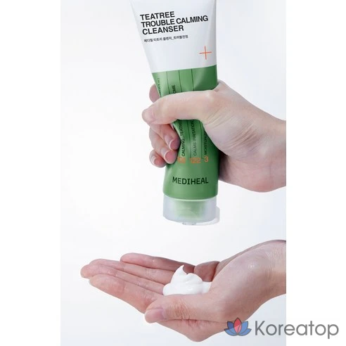 Пенка для умывания Mediheal Tea Tree Care Cleansing Foam для проблемной кожи, 170 мл