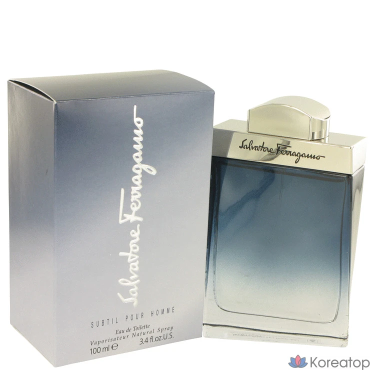 Ferragamo Subtil для мужчин EDT, 100 мл, 1 шт.