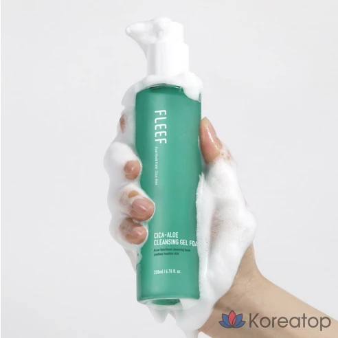 Очищающий гель-пенка Vegan Beauty Flip Cica Aloe