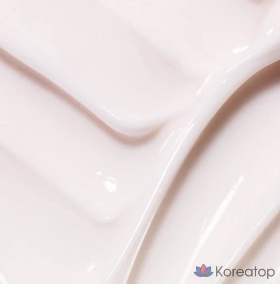 Крем Innisfree Flower Bud Mushroom Vital Cream, 60 мл, 1 шт.