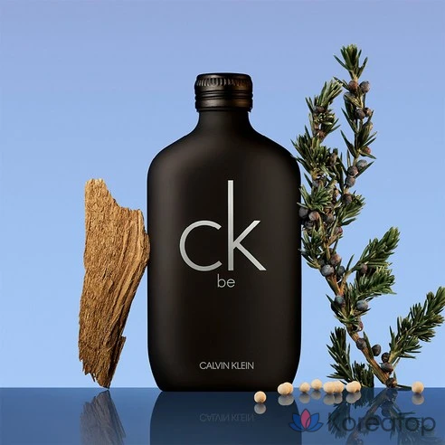 Туалетная вода Calvin Klein CK Be 200 мл — купить в интернет-магазине ParfumStore