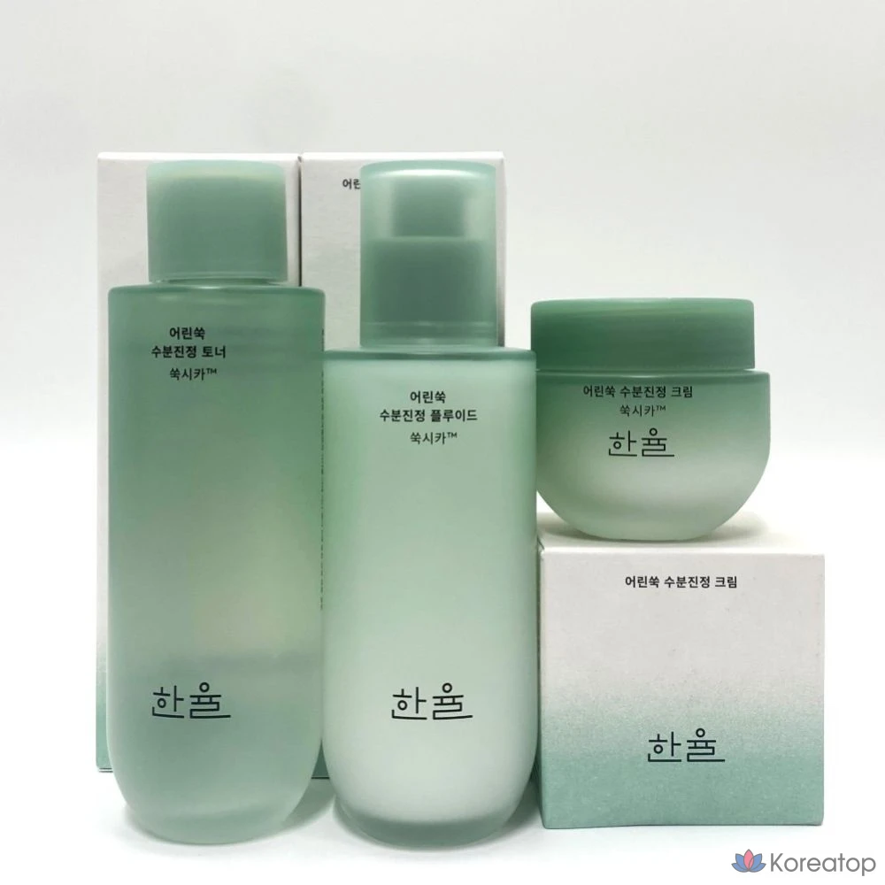 Набор из 3 базовых косметических средств HANYUL Young Artemisia Moisture, 1 шт.